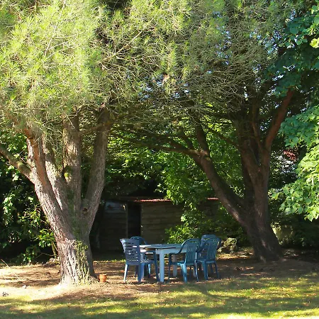 Holiday L'auviere * Chauve